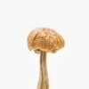 Buy Mexican Magic Mushrooms Australia